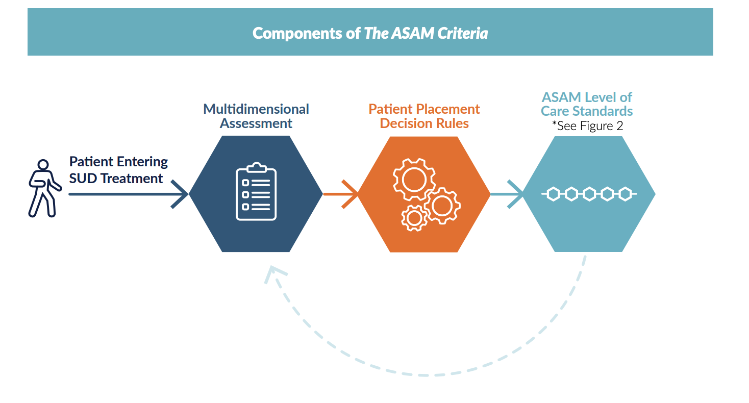 Components of The ASAM Criteria