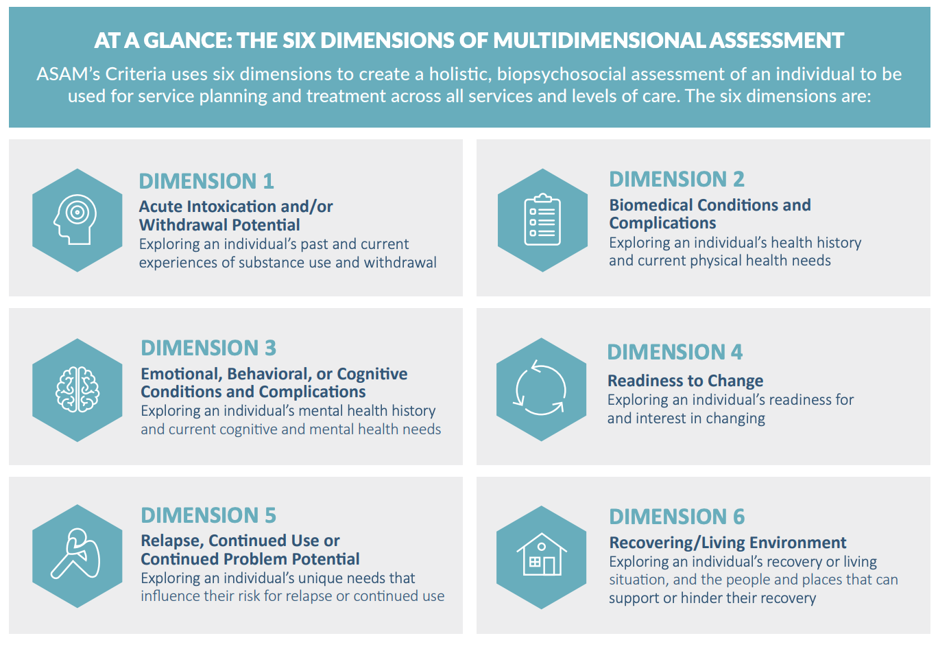 About The ASAM Criteria