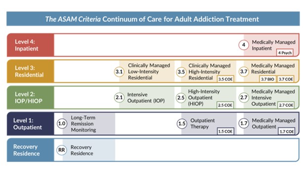 ASAM Criteria 4th Edition