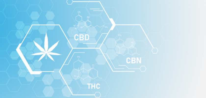 Cannabis Education: Facts Cannabis Education: Facts
